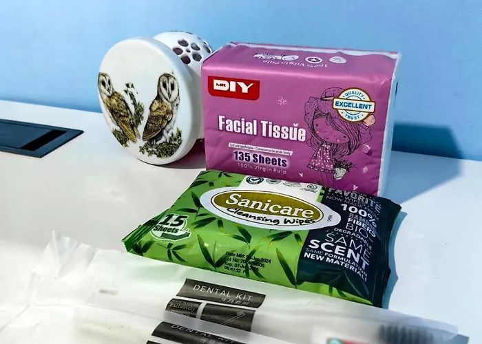 Vm Staycation Grace Taguig Tower 3 * Manila